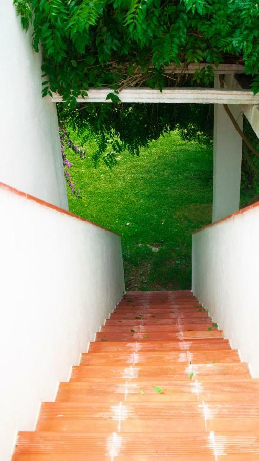 D'Vine - Country House Cartaxo Bagian luar foto